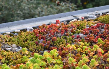 the cost of Rhyd Y Cwm green roof installation