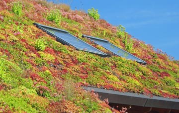 Rhyd Y Cwm living roof systems