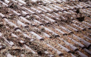 Rhyd Y Cwm roof cleaning companies