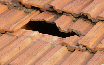 roof repair Rhyd Y Cwm, Shropshire