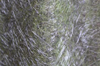 Rhyd Y Cwm fibreglass roof work